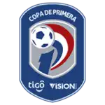Division Profesional - Apertura logo