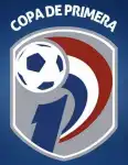 Division Profesional - Clausura logo