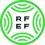 Tercera División RFEF - Group 4 logo