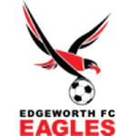 Edgeworth Eagles logo