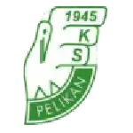 Pelikan Łowicz logo
