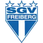 SGV Freiberg logo