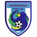 Maracanã logo