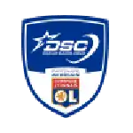 DSC logo