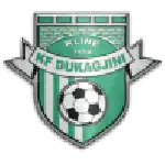 Dukagjini logo