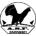Olimpic Zărneşti logo