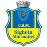 Sighetu Marmaţiei logo