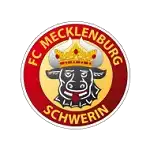 Mecklenburg Schwerin logo