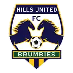 Hills Brumbies logo