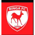 Binga logo