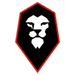 Salford City logo