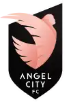 Angel City W logo