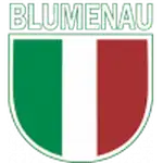 Blumenau logo