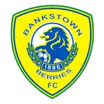 Canterbury Bankstown logo