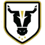 Bulls Academy logo