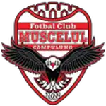 Logo von Muscelul Câmpulung Elite