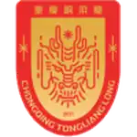 Chongqing Tongliang Long logo