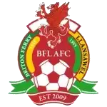 Briton Ferry logo
