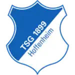 Hoffenheim II W logo