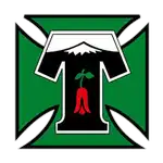 Deportes Temuco logo