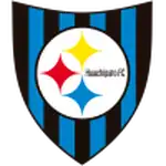 Huachipato logo