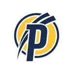 Puskas Academy logo