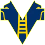 Hellas Verona U20 logo