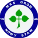 Grom Nowy Staw logo