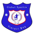Timişul Şag logo