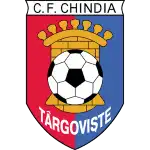 Chindia Targoviste logo