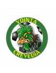 Voința Crevedia logo