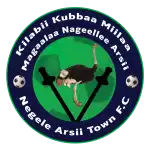 Negelle Arsi logo