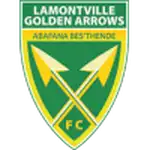 Golden Arrows logo