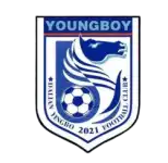 Dalian Yingbo B logo
