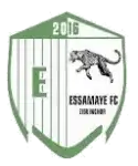 Essamaye logo