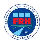 Haguenau logo