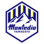 Montedio Yamagata logo
