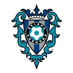 Avispa Fukuoka logo