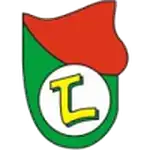 Lushnja logo