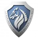 Merani Tbilisi logo