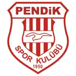 Pendikspor logo