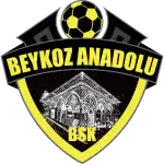 Beykoz Anadolu logo