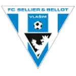 Logo de Vlašim