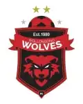 Wollongong Wolves logo