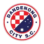 Dandenong City logo