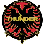 Dandenong Thunder logo