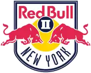 New York RB II logo