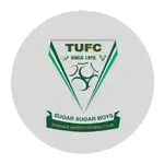 Triangle United logo