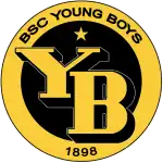 BSC Young Boys logo