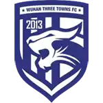 Wuhan Three Towns logo